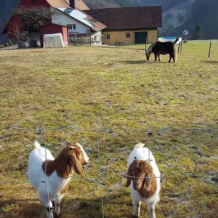 Appartement Am Marxenhof Oppenau
