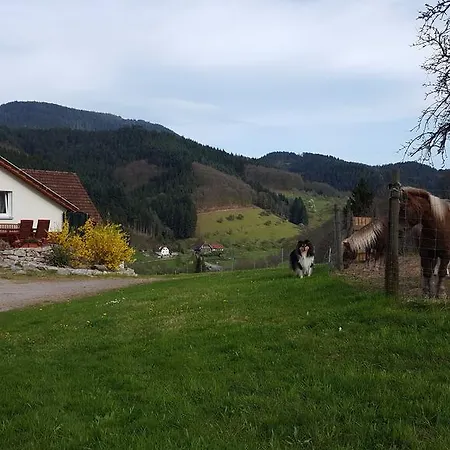 Am Marxenhof * Oppenau