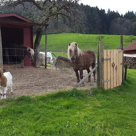 Appartement Am Marxenhof *